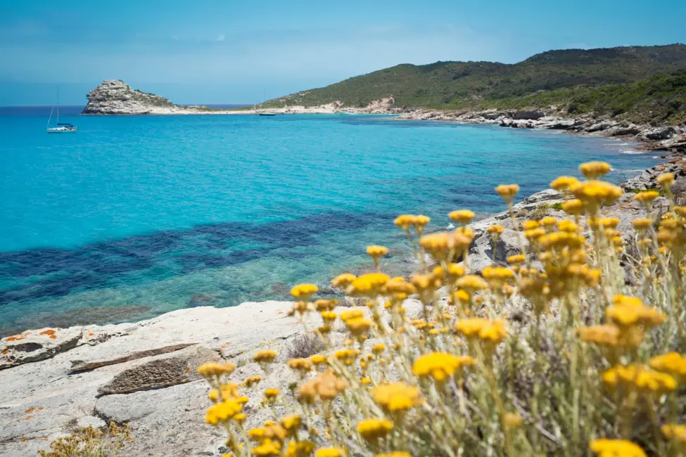 Cap Corse 5