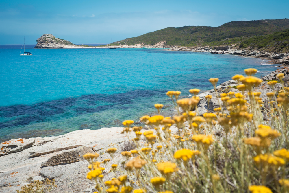 Les plages sauvages du Cap Corse près de la résidence de tourisme à Saint-Florent en Corse