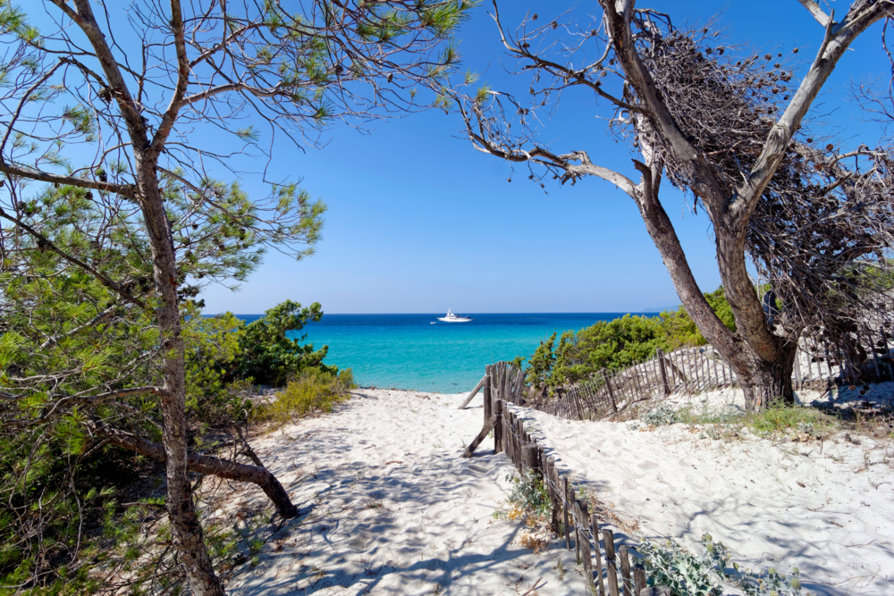 Résidence de tourisme en Corse à la découverte du Cap Corse